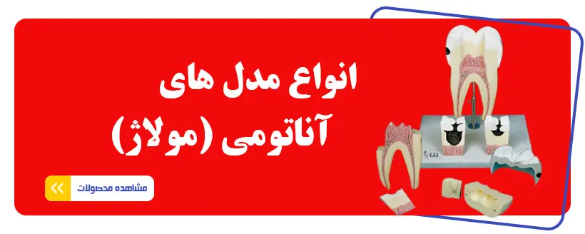 مولاژها -