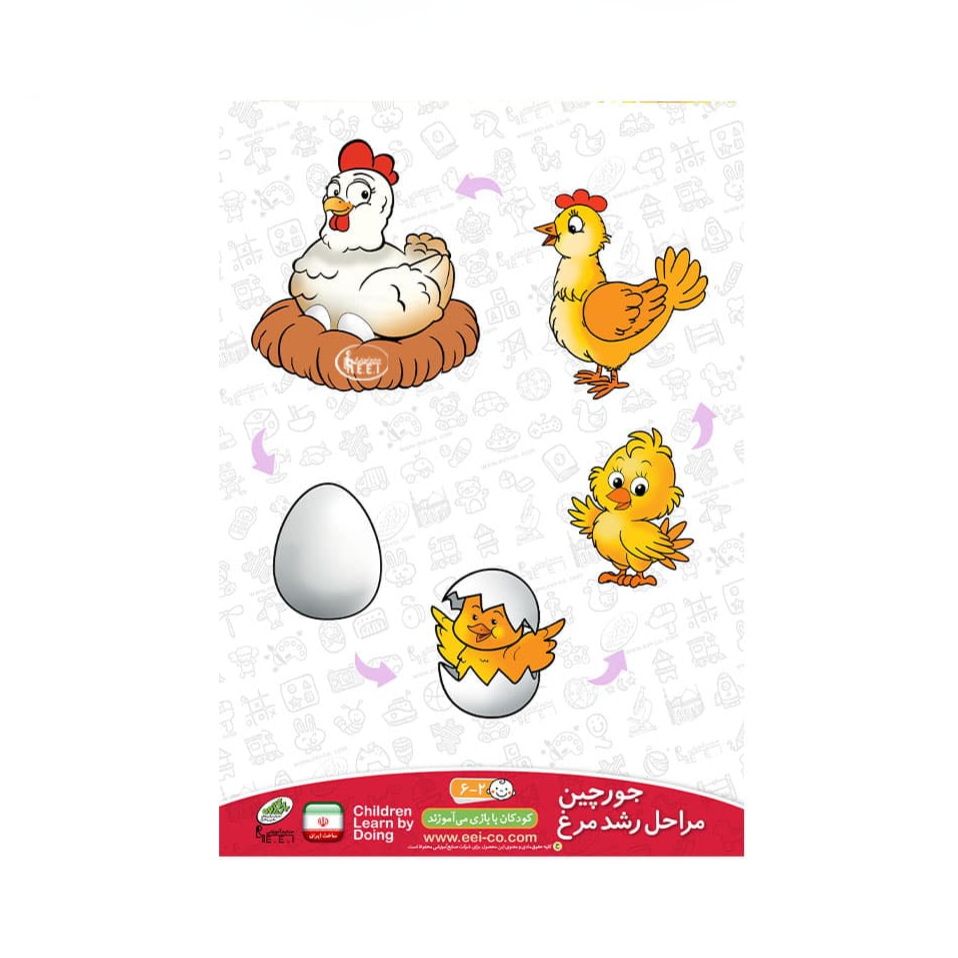 جورچین مراحل رشد جوجه